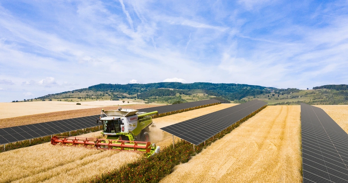 Instalacja PV gruntowa z wykorzystaniem modułów Agri PV Instalacja PV gruntowa z wykorzystaniem modułów Agri PV